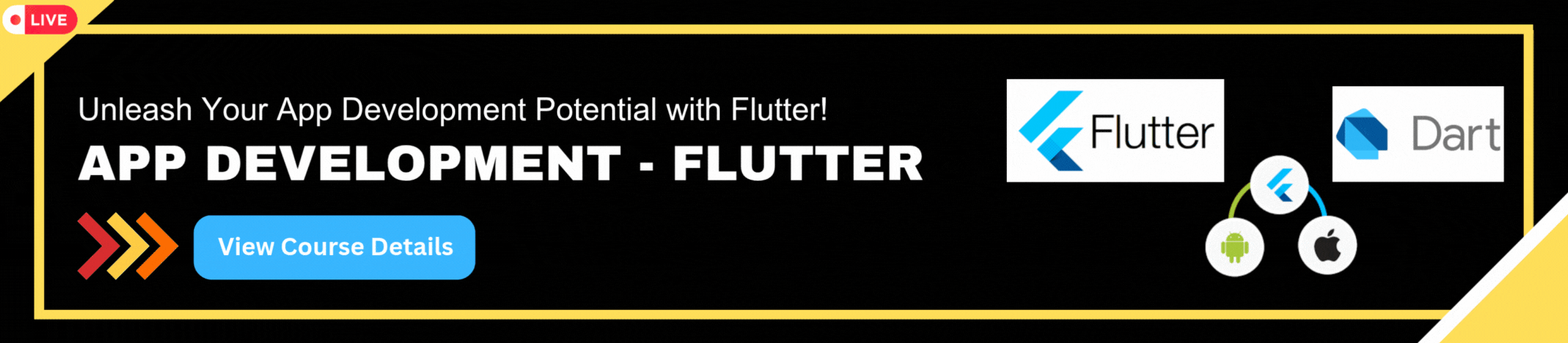 Flutter Development course at GeekBase